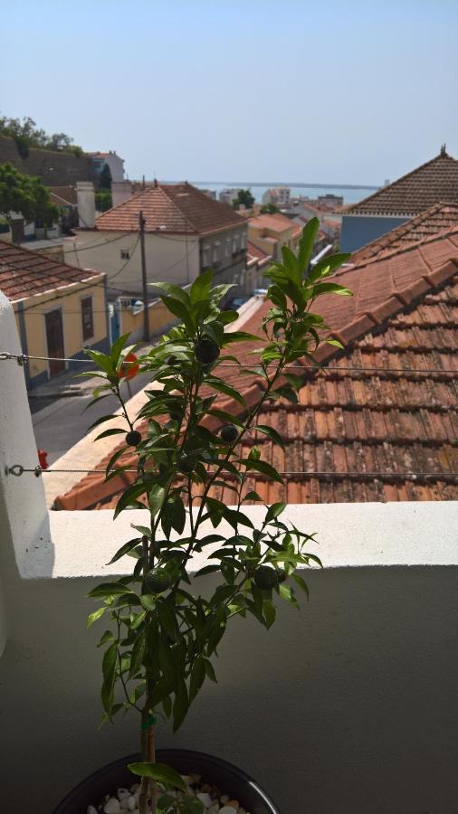 Villa Casa Do Viso à Setúbal Extérieur photo